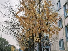 -上海交通大学(闵行校区)