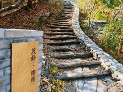 -周口店坡峰岭风景区