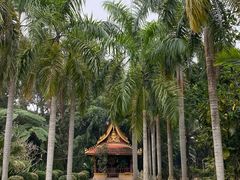-西双版纳傣族园