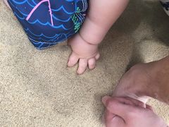 游乐设施-南宫五洲植物乐园