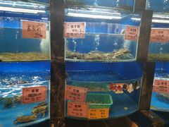 水产区-小城味道(嘉兴首店)