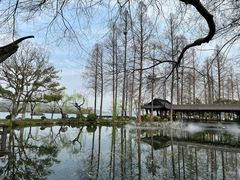 -浙江西子宾馆·瑶园咖啡厅