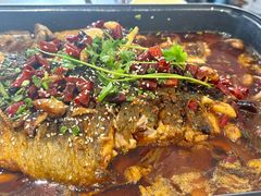 -青青河边草·小小河边鱼(万达广场太仓店)