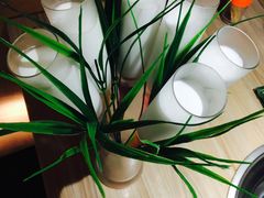 -探窝·竹笙椰子鸡(杨箕店)