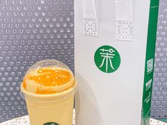 -茉酸奶(春熙路店)