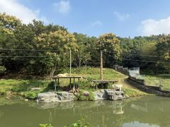 -宁波野生动物园