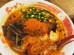 -豚王拉面(铜锣湾店 )