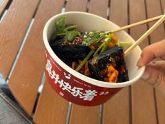 -黑色经典臭豆腐·湖南特产(坡子街店)