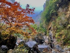 -塔川景区