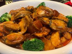 鲍鱼-陈麻婆豆腐总店