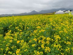 -新疆那拉提国家旅游度假区