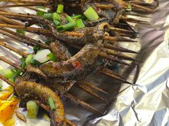 -晓靖轩烧烤(沙河风情店)