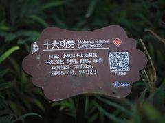 -白塘生态植物园