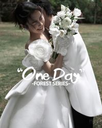 -巴黎经典婚纱摄影PARISSIC