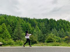 -硗碛藏寨·神木垒景区