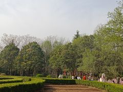 -洛阳市隋唐城遗址植物园