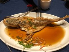 豉油糖东海黄鱼-南乡·广东顺德菜(苏宁广场B区店)