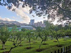 -紫马岭公园