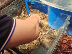 -奔海甄选·活鲜刺身铁板烧自助(太原里店)