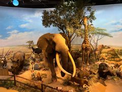 -陕西自然博物馆