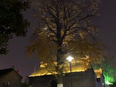 -凤城河风景区