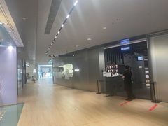 -introlemons(北京西单更新场店)