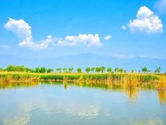 -东郊湿地公园
