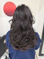 -FINE HAIR 烫染专业设计