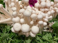 -和子足浴SPA会馆(梁溪店)