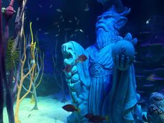 -沈阳海洋探索中心