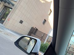 -特克斯八卦城