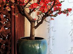 -颐和园