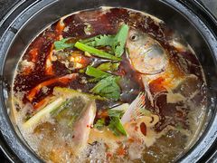 -老杨砂锅鱼庄
