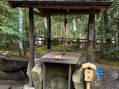 -野宫神社