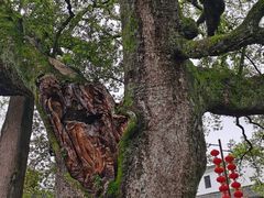 -新安江山水画廊风景区