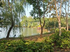 -溱湖国家湿地公园