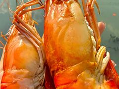 -小陆莲花蟹园农家乐(莲花岛店)