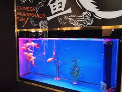 -蜀锦堂·川味现炒(襄阳武商汇店)