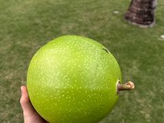 -三亚太阳湾柏悦酒店