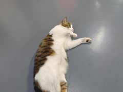 -蓝天射箭馆·专业射箭运动(诚丰广场店)