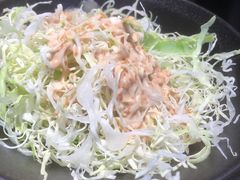 -山杏yama-katsu·吉列炸物