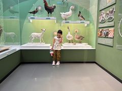 -国家自然博物馆