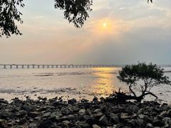 -宝安西湾红树林湿地公园