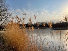 -大兴滨河森林公园