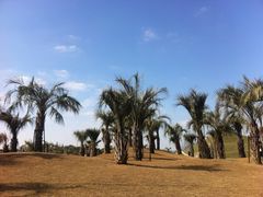 -南通洲际绿博园