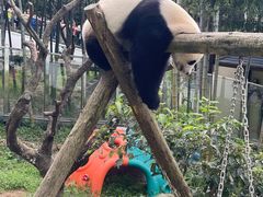 -天目湖御水温泉·度假酒店