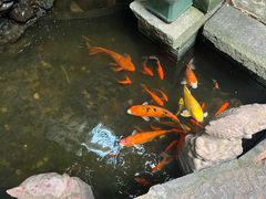 -31号公馆(黄兴广场白果园店)