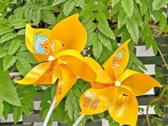 -百年同和·江南点心院(山塘街店)