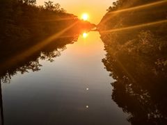 -黄海国家森林公园