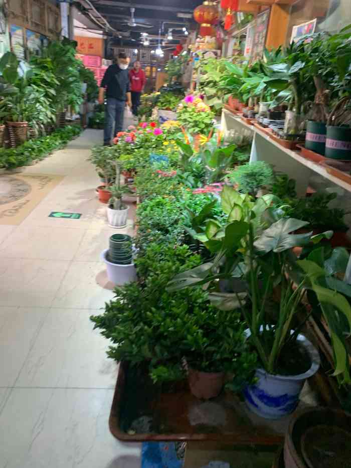 青岛市南山花鸟鱼石市场-"小朋友很喜欢小动物,带着开南山花卉市场看.